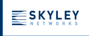 SKYLEY NETWORKS