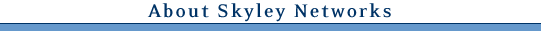 About Skyley Networks